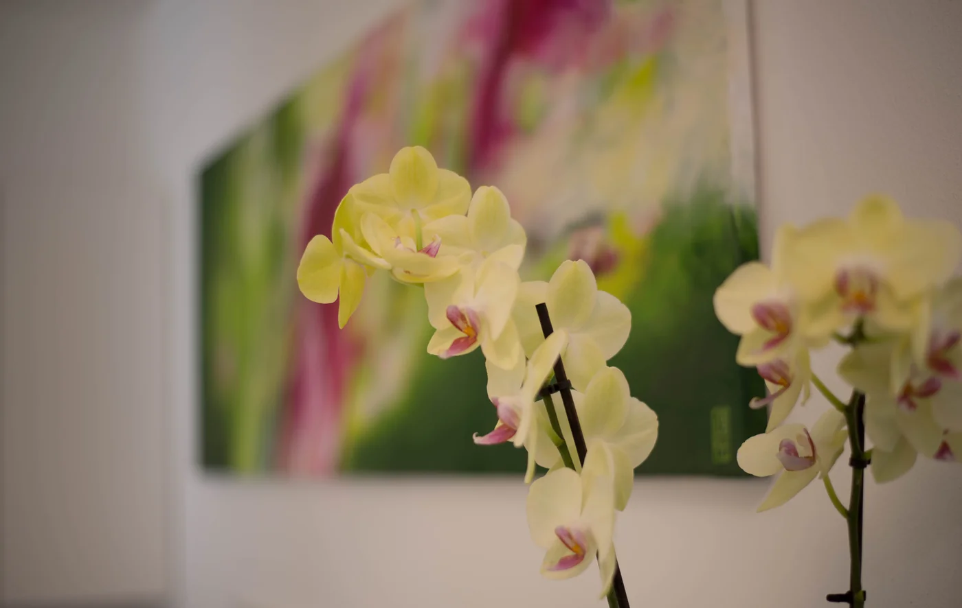 Dr. Hörl bei der Akupunkturbehandlung