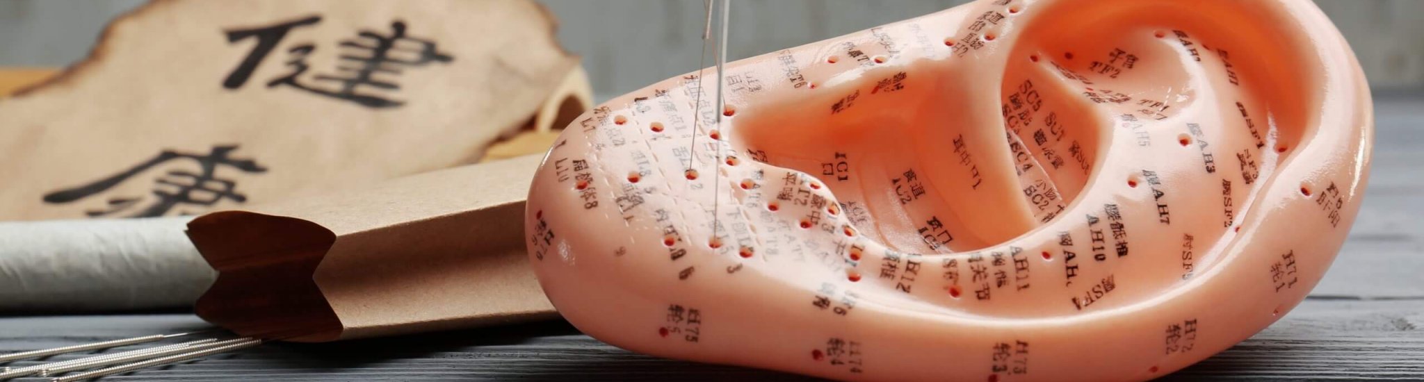Model of ear with acupuncture needles on table